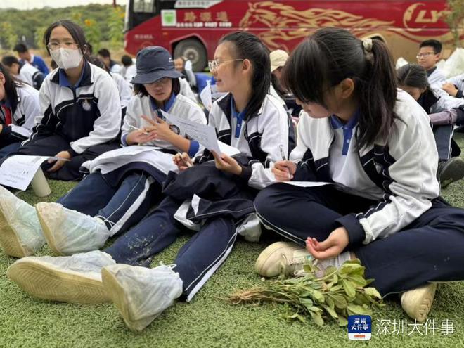 把生物课堂搬到花生地！深圳学生在劳动实践中播种科学梦(图2)