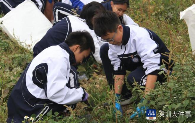 把生物课堂搬到花生地！深圳学生在劳动实践中播种科学梦(图3)