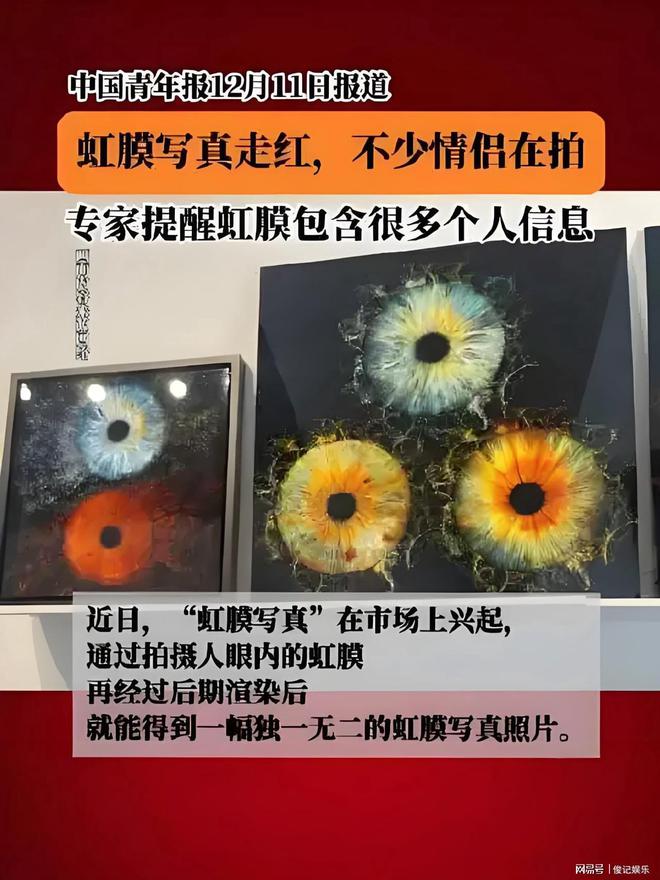 虹膜写真图可破解虹膜门锁(图1)