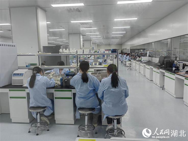 生物育种助力农业丰收为中国种业提供强“芯”服务(图3)