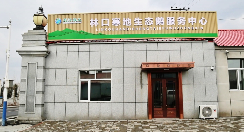 鹅行“智”道寒地产业再拓新路径(图3)