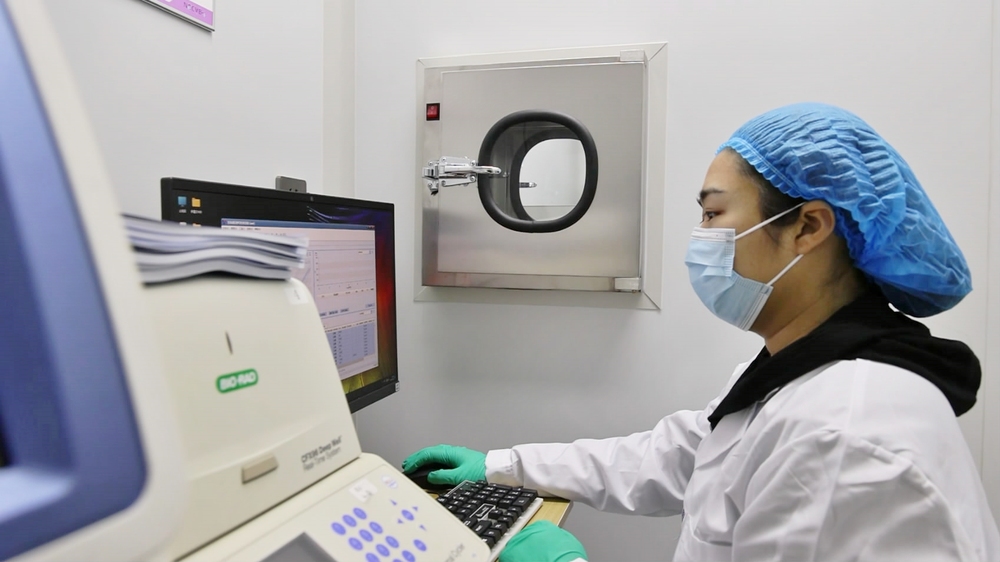 鹅行“智”道寒地产业再拓新路径(图1)