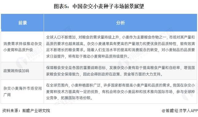 2025年生物育种行业细分市场分析——小麦育种【组图】(图4)