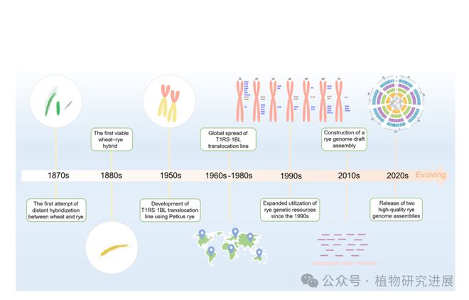 中科院遗传发育所在《Cell》旗下权威期刊（IF：168）上发表文章(图1)