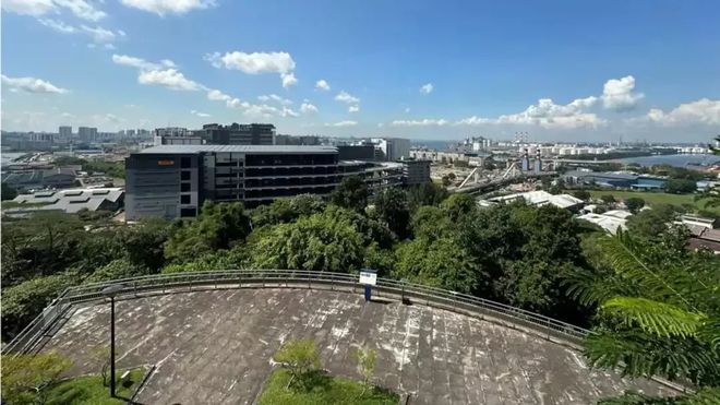 为什么东南亚只出了新加坡一个发达国家？(图9)