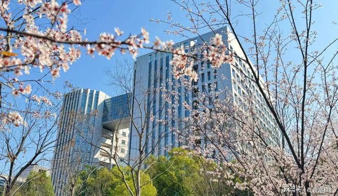 中南林业科技大学王牌专业有哪些？多元化就业路径行业标杆！(图3)