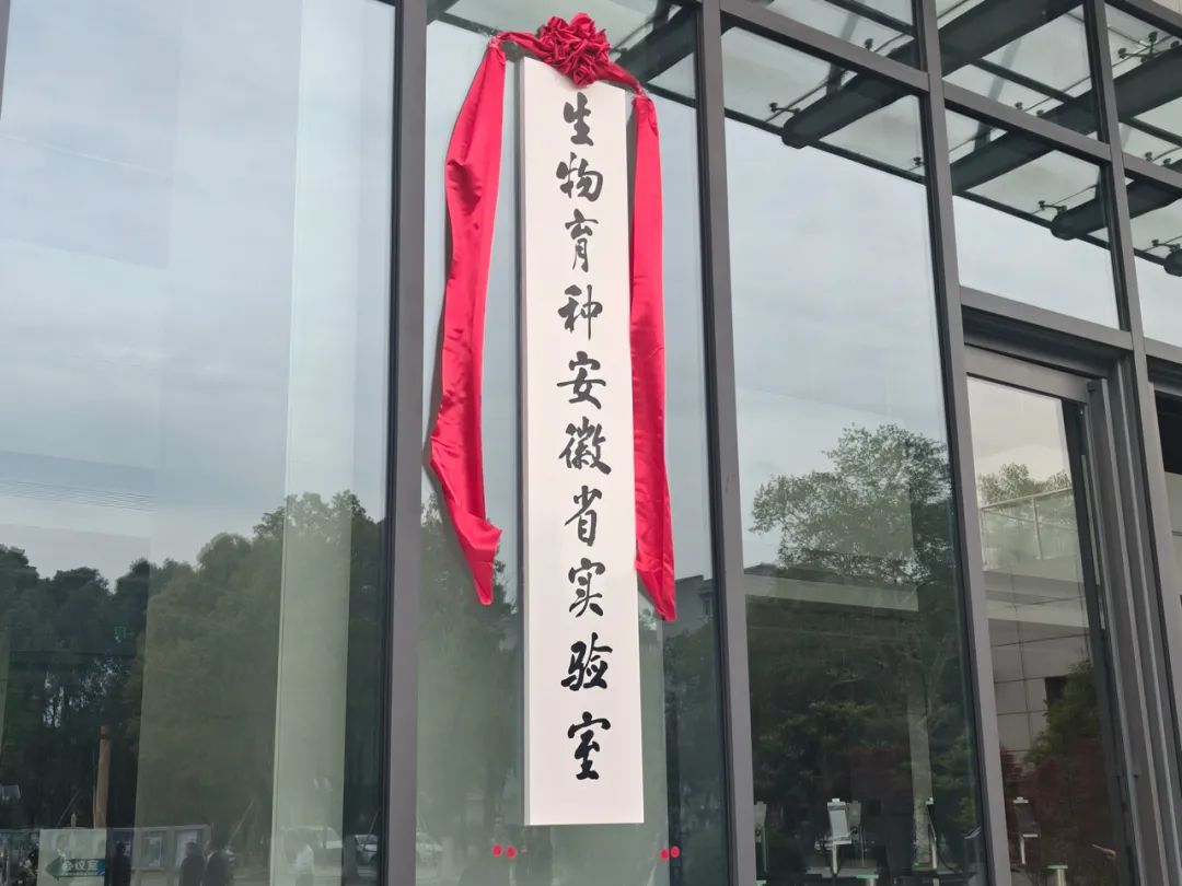 唯一的“她”跨越2000公里到了安徽(图1)