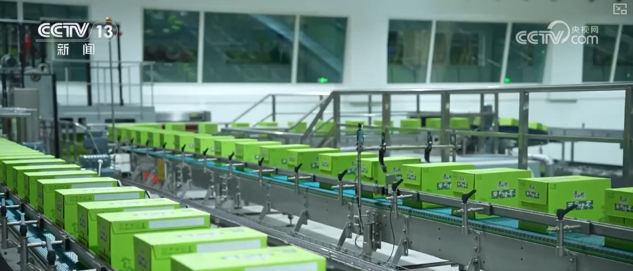 第一、第二、前三……蓄势赋能！“硬核”成绩单折射经济活力(图10)