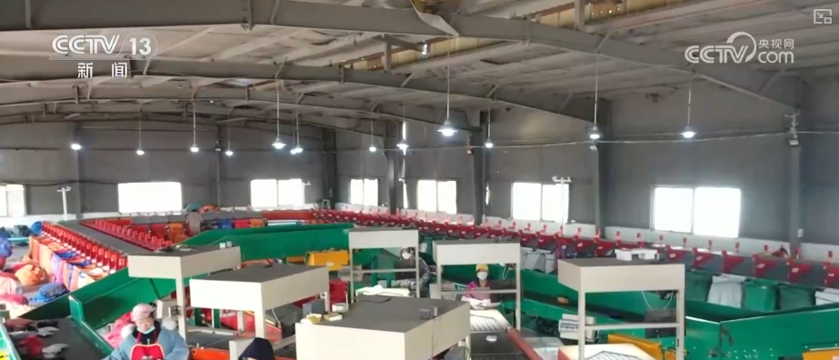 第一、第二、前三……蓄势赋能！“硬核”成绩单折射经济活力(图11)