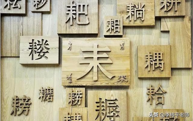 20%美国人是文盲为何？美国网友：废除英语学汉语是唯一办法(图5)