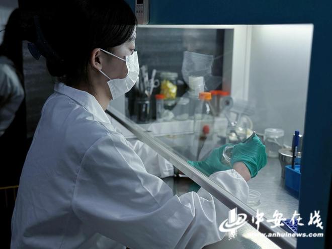 科创新就业生物工程技术人员：自然密码的“翻译官”(图3)