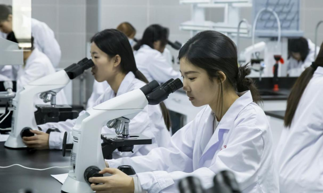 烟台卫生健康职业学院2025年招生工作圆满收官(图3)