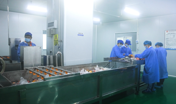 湖南新增127家农业产业化龙头企业尚道生物科技入选(图1)