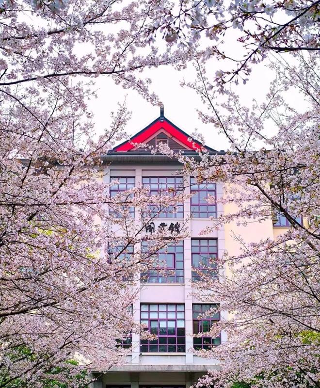 关注：南京林业大学2025年本科生招生章程发布(图3)