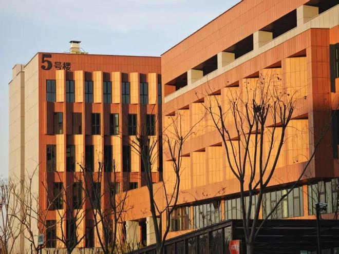 关注：南京林业大学2025年本科生招生章程发布(图2)