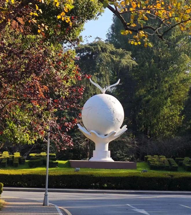 关注：南京林业大学2025年本科生招生章程发布(图5)