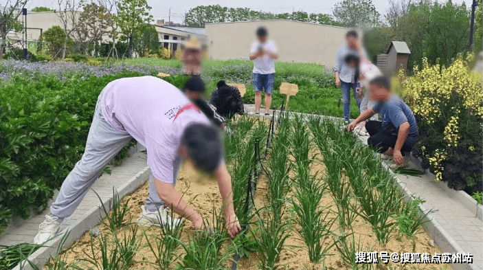 尚湾林语(售楼处)首页网站-尚湾林语销售中心(营销中心)-售楼处电话-户型-价格-开盘时间-楼盘详情-周边配套得房率(图17)