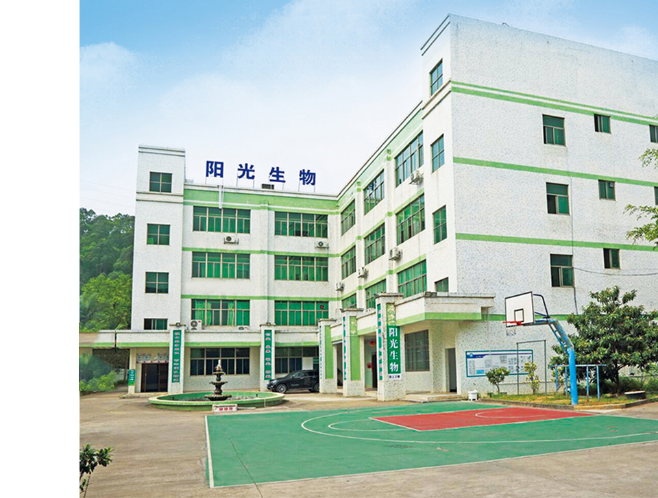 广东阳光生物科技有限公司(图1)