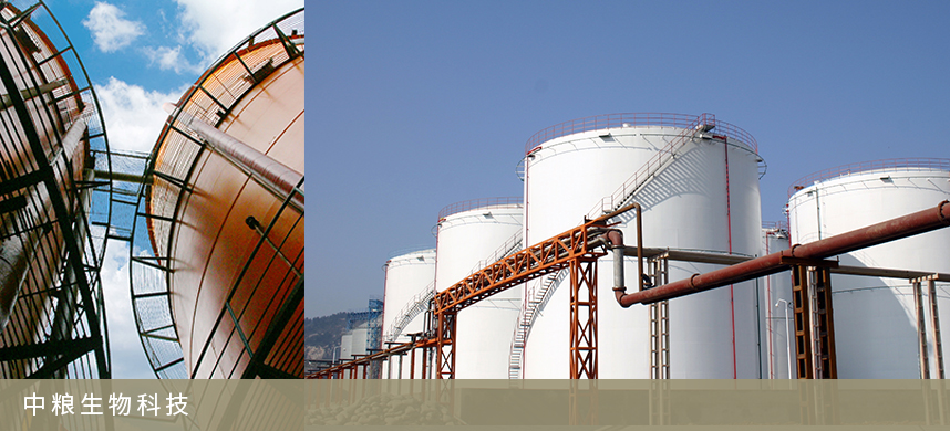 中粮集团有限公司(图1)