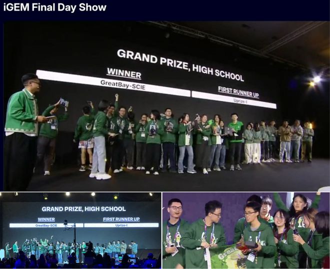 高中生搞出除霉“黑科技”荣获国际顶尖大奖!合成生物竞赛中国团队杀疯了!(图1)