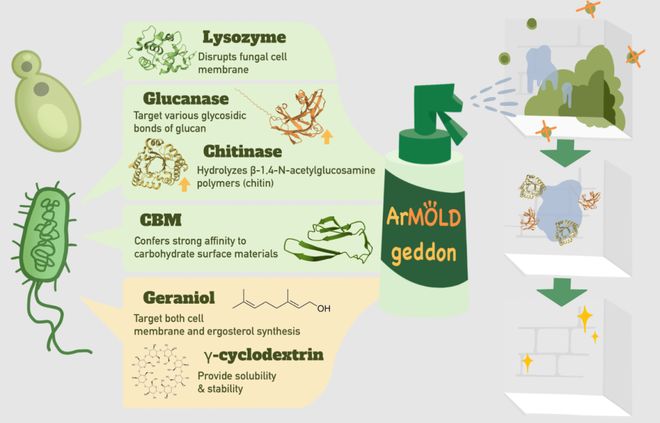 高中生搞出除霉“黑科技”荣获国际顶尖大奖!合成生物竞赛中国团队杀疯了!(图3)