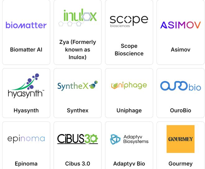 高中生搞出除霉“黑科技”荣获国际顶尖大奖!合成生物竞赛中国团队杀疯了!(图6)