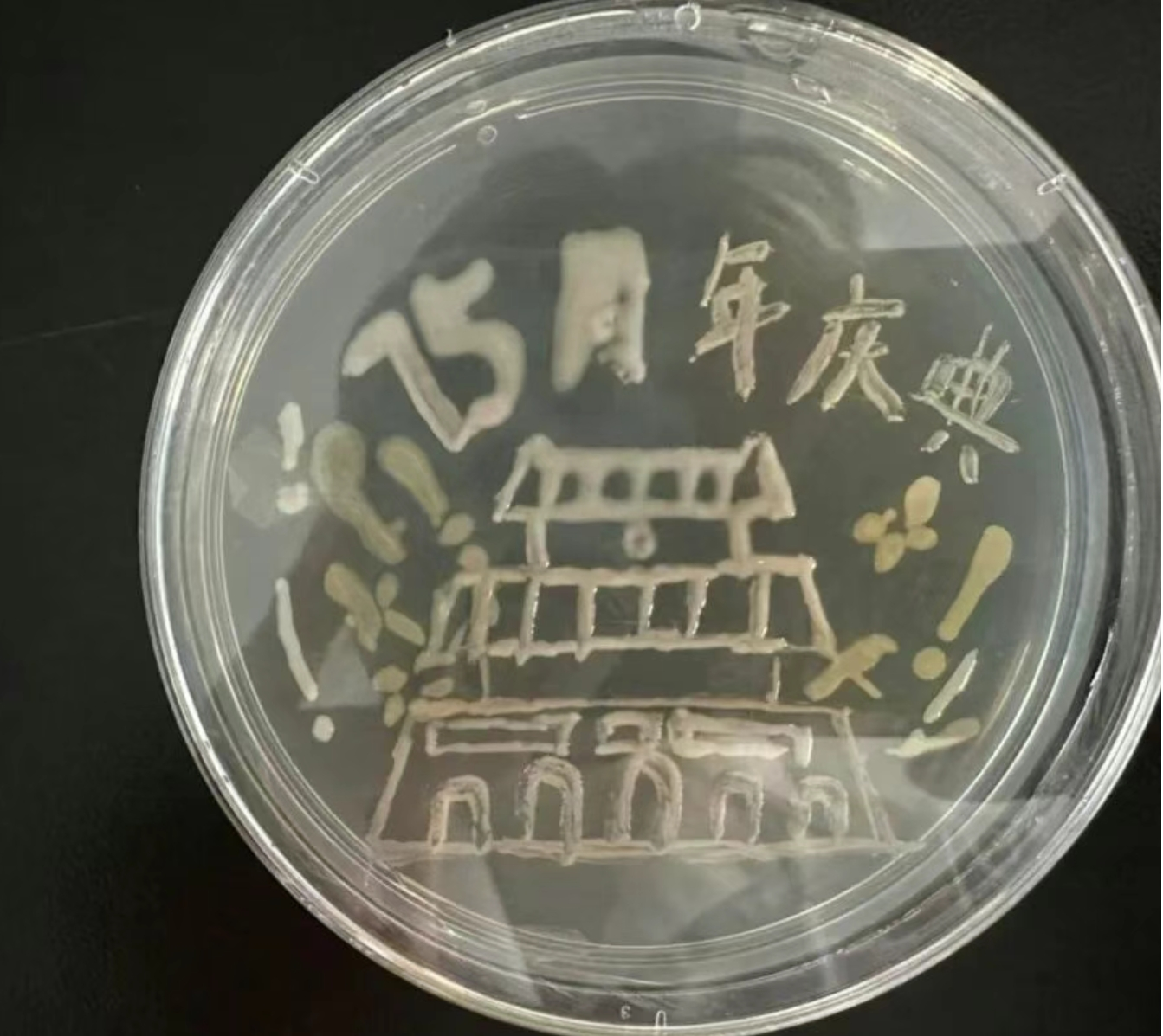 长春科技学院生物工程专业二十年的华丽转身(图4)