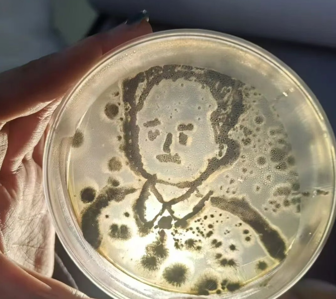 长春科技学院生物工程专业二十年的华丽转身(图3)