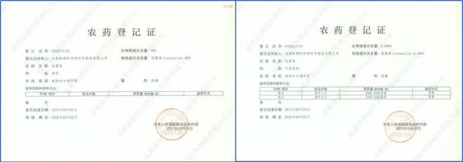 甜冠：这项生物技术为什么会成为提升水果品质的关键利器？(图3)
