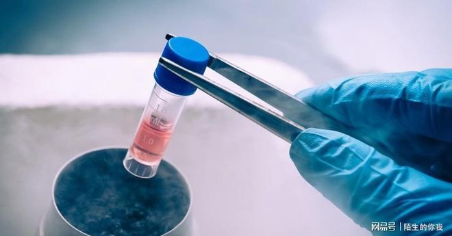 对华科技战升级!美设“反向审查”生物技术受限中企如何破局(图5)