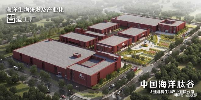 向深蓝铸引擎：非得生物的中国海洋肽产业领航之路(图4)