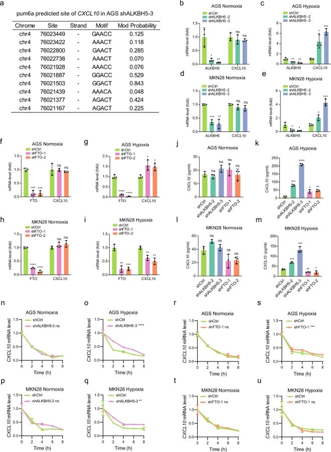 直接RNA测序解锁m6A中国科学家揭示细胞命运调控新机制(图2)
