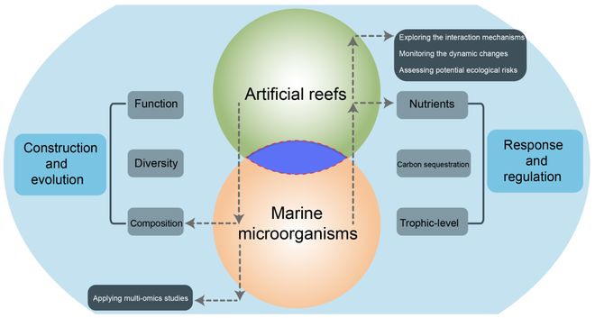 人工鱼礁生态系统的构建与演化：海洋微生物的响应与调节(图6)