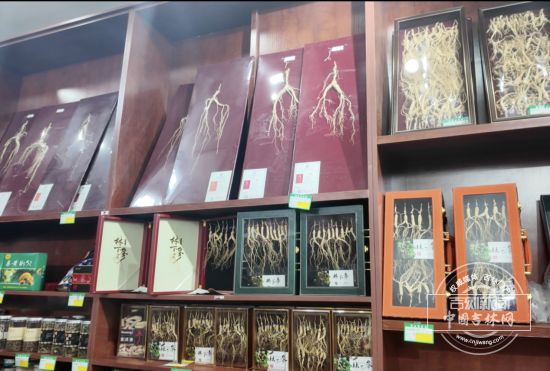 吉林省人参产业科技创新联合体引领“百草之王”高质量蝶变(图1)