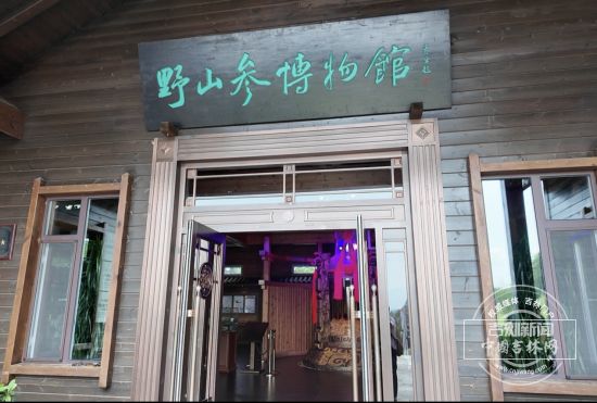 吉林省人参产业科技创新联合体引领“百草之王”高质量蝶变(图3)