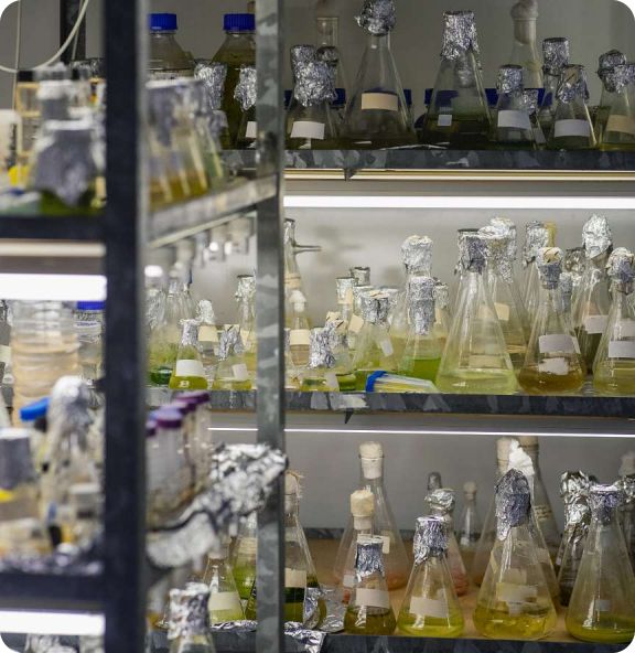 赣州K栈丨在孵企业赣州虔涌生物科技有限公司:聚焦微生物技术赋能生态产业发展(图4)