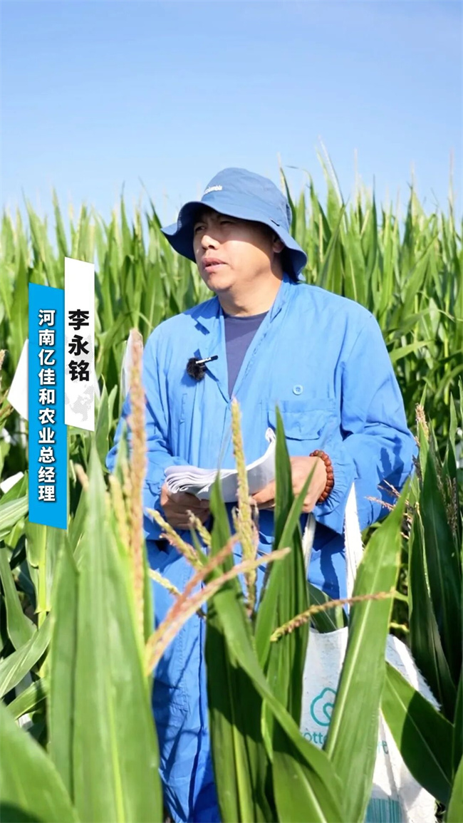 南繁基地行记(二)‖南繁基地里的育种“芯”力量:专访亿佳和农业总经理李永铭(图1)
