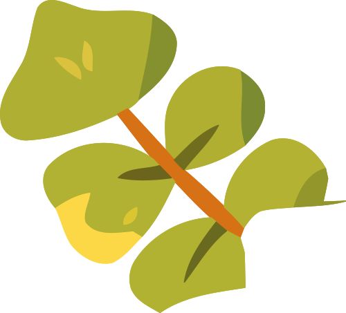 两位院士力荐!国家一流课程配套教材《植物化学》(第四版)重磅推出(图1)