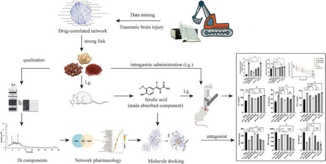 收藏!中医药方向的高分SCI期刊与简介(图4)