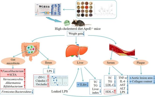 收藏!中医药方向的高分SCI期刊与简介(图2)