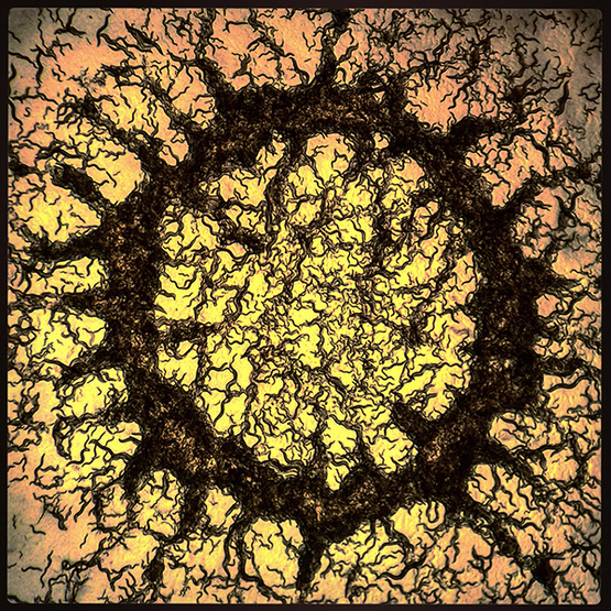 果壳科技有意思(图3)