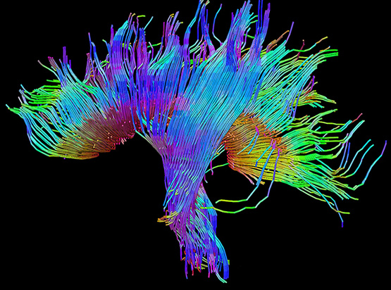 果壳科技有意思(图2)