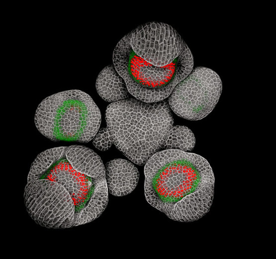 果壳科技有意思(图7)