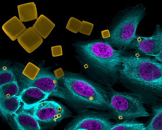 果壳科技有意思(图5)