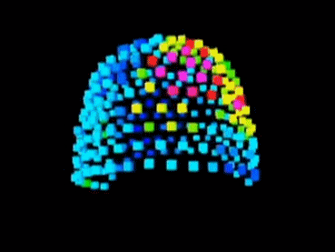 果壳科技有意思(图13)