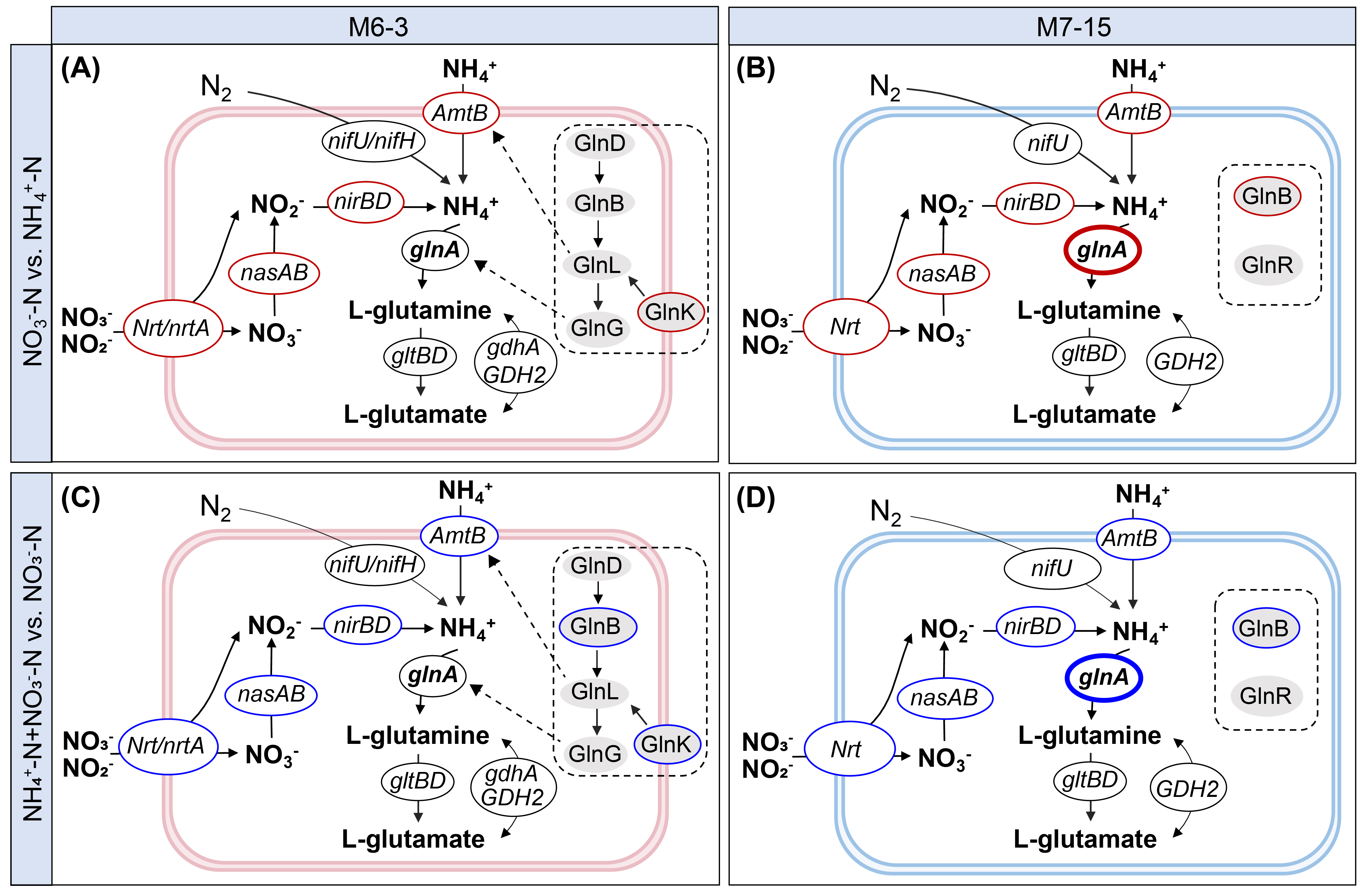 我校微生物技术与应用团队在《FrontiersinMicrobiology》发表研究成果(图2)