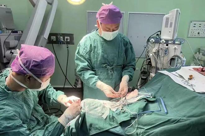 聚焦两会|华润加速布局(图15)