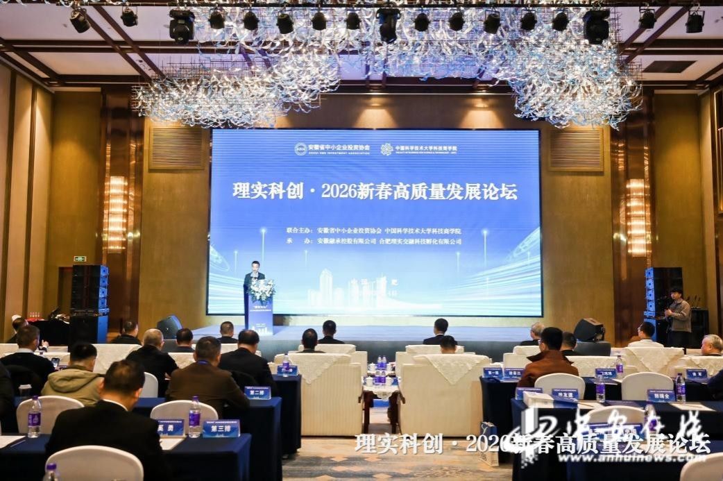 【中安新春高质量发展论坛在合肥成功举办(图1)