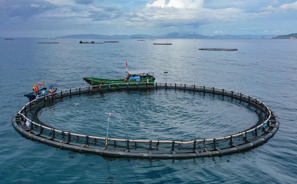 约占全球56%!中国渔业好“丰”景(图1)