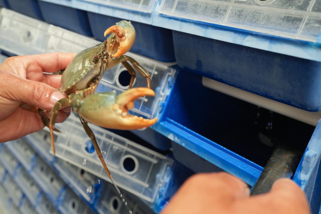 约占全球56%!中国渔业好“丰”景(图2)